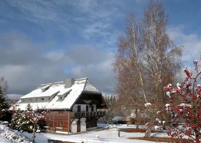 Schwarzwaldhof Nicklas Отель *