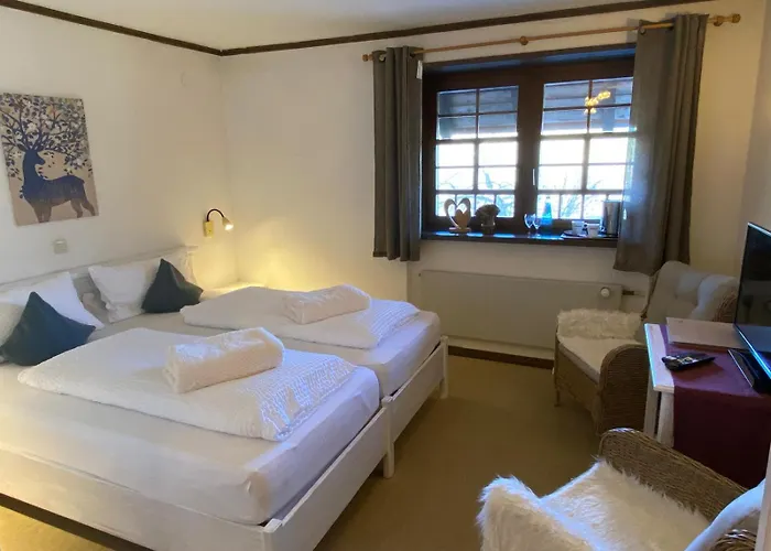 Отель Schwarzwaldhof Nicklas