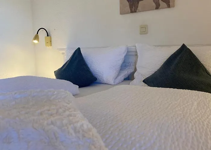 Отель Schwarzwaldhof Nicklas